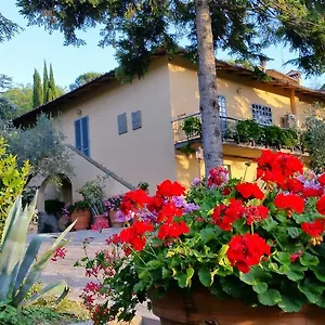 Bed & Breakfast Ulivi Di Castello